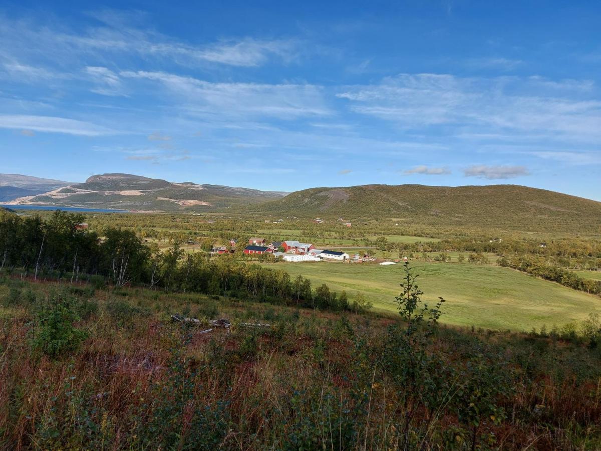 Austertanakrystallen By Pure Lifestyle Arctic Exterior foto